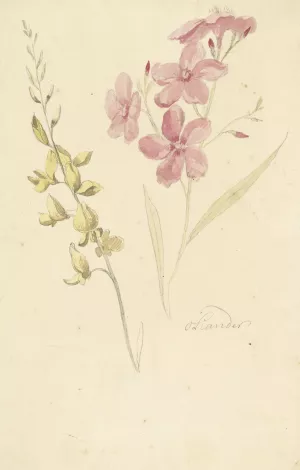 Oleander en brem by Elias Van Nijmegen Oil Painting
