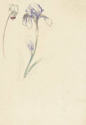 Studie van iris en cyclaam Oil painting by Elias Van Nijmegen