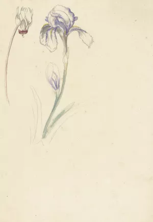 Studie van iris en cyclaam by Elias Van Nijmegen Oil Painting