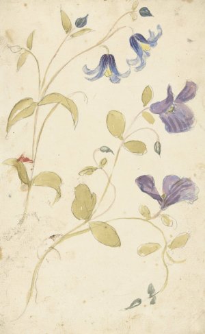 Studies of Purple and Blue Flowers by Elias Van Nijmegen Oil Painting