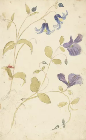 Studies of Purple and Blue Flowers by Elias Van Nijmegen Oil Painting