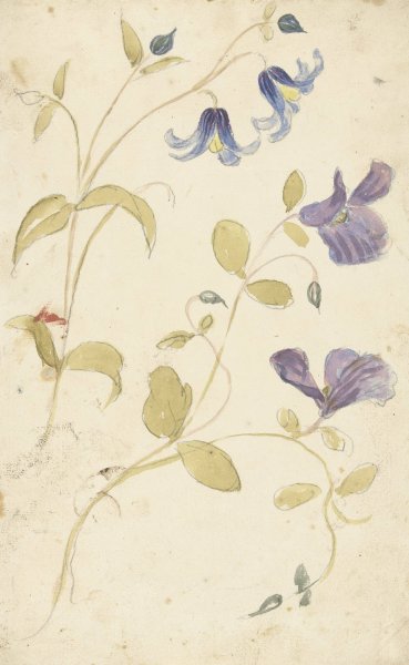 Studies of Purple and Blue Flowers  by Elias Van Nijmegen - Hand-Painted Oil Painting Reproduction
