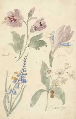 Studies van bloemen waaronder een iris by Elias Van Nijmegen Oil Painting