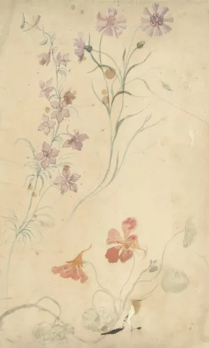 Studies van ridderspoor, anjer en Oostindische kers by Elias Van Nijmegen Oil Painting