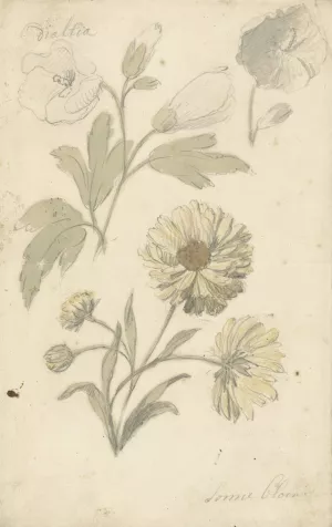 Studies van zonnebloemen en dialtia by Elias Van Nijmegen Oil Painting
