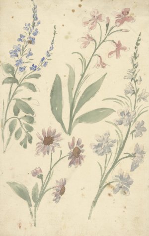 Vier studies van roze en blauwe bloemen by Elias Van Nijmegen Oil Painting