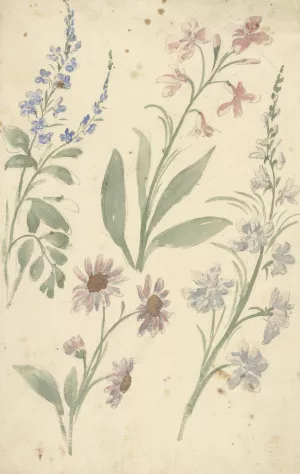 Vier studies van roze en blauwe bloemen by Elias Van Nijmegen Oil Painting