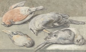 Still Life with Four Dead Birds by Elias Vonck Oil Painting