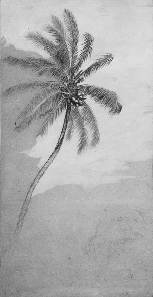 Main Product Photo of Palm Tree Painting by Elihu Vedder