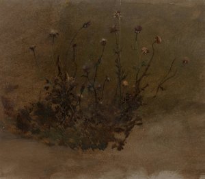 Wild Flowers by Elihu Vedder Oil Painting