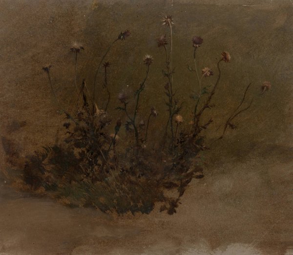 Wild Flowers  by Elihu Vedder - Hand-Painted Oil Painting Reproduction