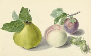 Een peer, perzik, pruim en noten, after Michiel van Huysum by Elisabeth Geertruida Van De Kasteele Oil Painting