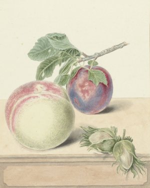 Perzik, een pruim met blad en een paar noten, after Michiel van Huysum by Elisabeth Geertruida Van De Kasteele Oil Painting