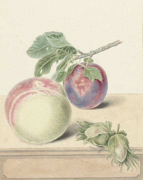 Perzik, een pruim met blad en een paar noten, after Michiel van Huysum  by Elisabeth Geertruida Van De Kasteele - Hand-Painted Oil Painting Reproduction