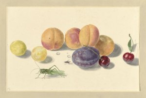 Perziken, pruimen, kersen en twee insecten, after Michiel van Huysum by Elisabeth Geertruida Van De Kasteele Oil Painting