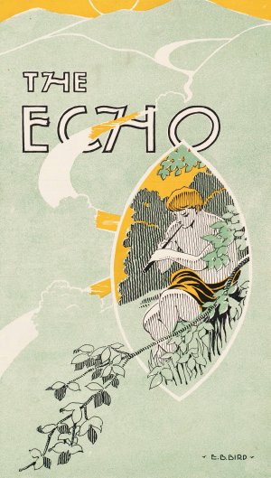 The Echo, Chicago, October 1, 1895 by Elisha Brown Bird Oil Painting