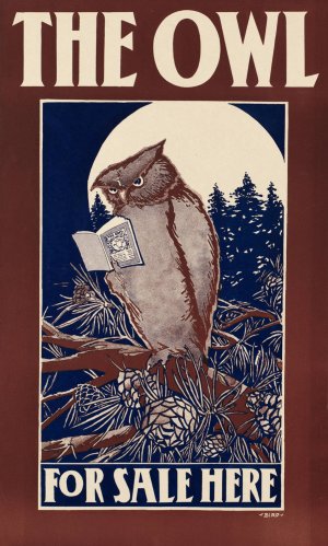 The owl for sale here by Elisha Brown Bird Oil Painting