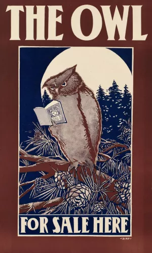 The owl for sale here by Elisha Brown Bird Oil Painting