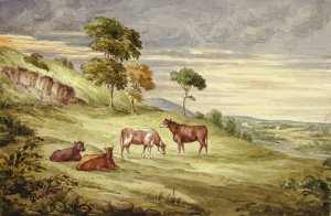 Deer Park, possibly Kilkenny by Elizabeth Murray Oil Painting