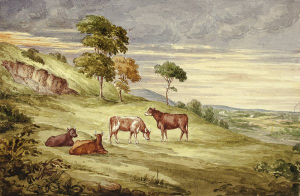 Deer Park, possibly Kilkenny  by Elizabeth Murray - Hand-Painted Oil Painting Reproduction