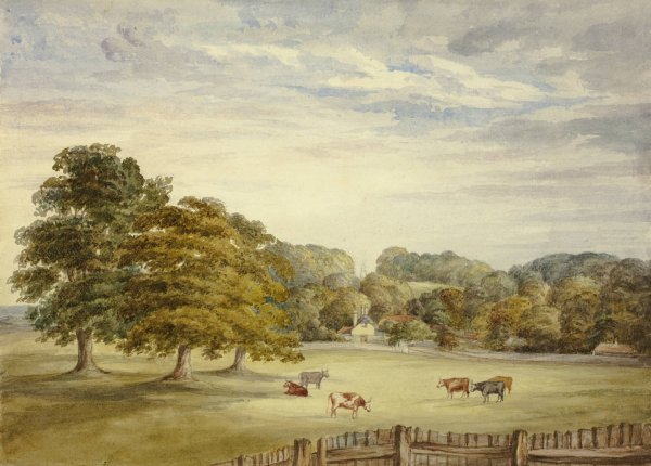 Six Cows Grazing before Country House by Elizabeth Murray - Hand-Painted Oil Painting Reproduction
