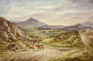 Wicklow Hills by Elizabeth Murray Oil Painting