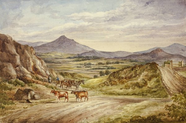 Wicklow Hills  by Elizabeth Murray - Hand-Painted Oil Painting Reproduction