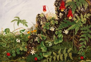 Wild Flowers No. 1 by Ellen Robbins Oil Painting