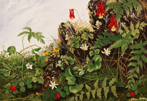 Wild Flowers No. 1  by Ellen Robbins - Hand-Painted Oil Painting Reproduction