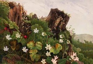 Wild Flowers No. 2 by Ellen Robbins Oil Painting