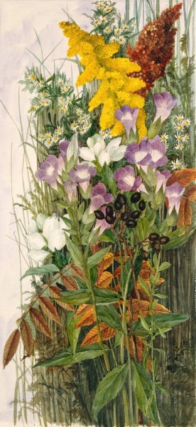 Wildflowers  by Ellen Robbins - Hand-Painted Oil Painting Reproduction