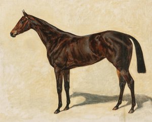 A Dark Brown Thoroughbred Mare by Emil Adam Oil Painting