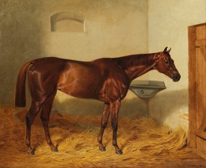 Die Stute 'Kincsem' by Emil Adam Oil Painting