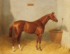 Lord Bobs im Stall by Emil Adam Oil Painting