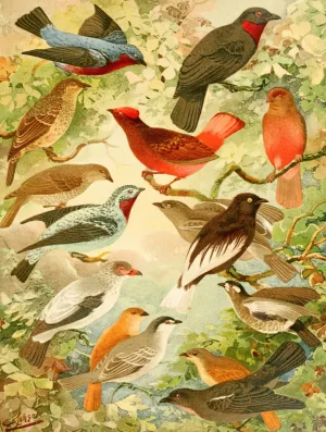 Anambes by Emil August Goldi Oil Painting