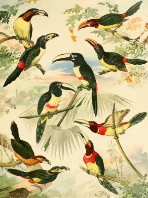 Aracarys by Emil August Goldi Oil Painting