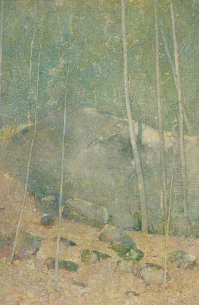 In The Maine Woods by Emil Carlsen - Hand-Painted Oil Painting Reproduction