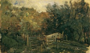 Naturstudie aus Goisern Waldlandschaft by Emil Jakob Schindler Oil Painting