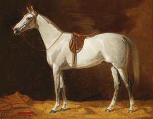 A White Horse by Emil Volkers Oil Painting