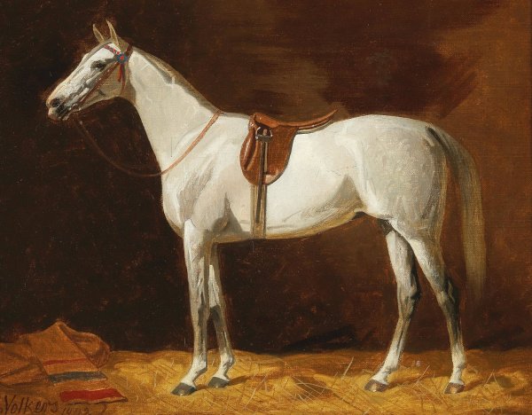 Main Product Photo of A White Horse  Painting by Emil Volkers