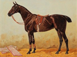 Brauner im Stall mit Satteldecke by Emil Volkers Oil Painting