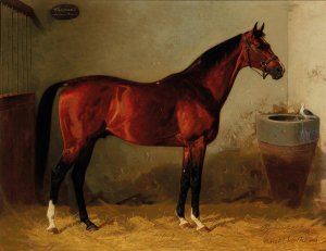Chamant by Mortimer-Araucaria by Emil Volkers Oil Painting