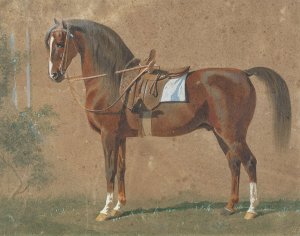 Gesattelter Hengst by Emil Volkers Oil Painting
