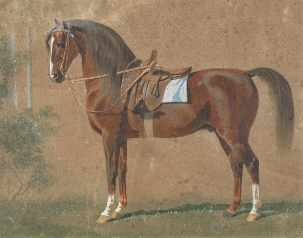 Main Product Photo of Gesattelter Hengst  Painting by Emil Volkers