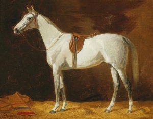 Gesattelter Schimmel im Stall by Emil Volkers Oil Painting