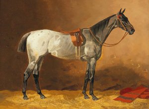 Gesatteltes Reitpferd by Emil Volkers Oil Painting