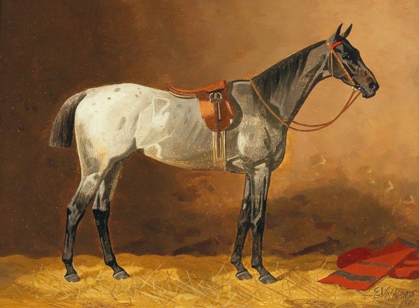Main Product Photo of Gesatteltes Reitpferd Painting by Emil Volkers