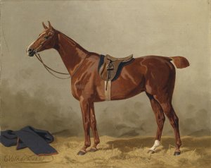 Gesatteltes Sportpferd by Emil Volkers Oil Painting