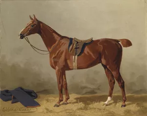Gesatteltes Sportpferd by Emil Volkers Oil Painting