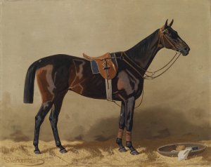 Gesatteltes Sportpferd by Emil Volkers Oil Painting